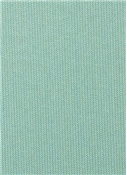 Spectrum Mist 48020-0000 Sunbrella Fabric