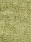 Speedy Plus Green Tea Solid Fabric