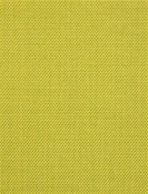 Spotlight Citron Sunbrella Fabric