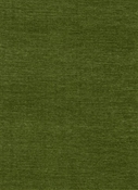 St. Tropez 44 Sage Chenille Fabric