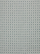 Stallion M10504 12014 Aqua Barrow Fabric