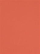 Stellar Solid Melon Robert Allen Fabric