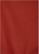 Stellar Solid Canvas Spice