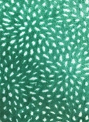 Sun Scuba Europatex Cut Velvet