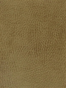 Teton Buckskin Mitchell Vinyl