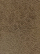 Teton Buff Mitchell Vinyl