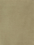 Teton Stone Mitchell Vinyl
