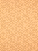 Transom Sunshine Barrow Fabric 