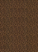 Tanzia Onyx Tempo Fabric 