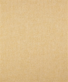 Term 21212 M10316 Pollen
