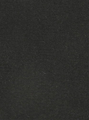 Terrasol Canvas Black Tempo Fabric 