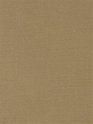 Terrasol Canvas Dunes Tempo Fabric 