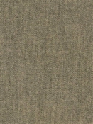 Terrasol Canvas Fossil Tempo Fabric 