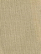 Terrasol Canvas Ivory Tempo Fabric 