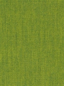 Terrasol Canvas Lime Tempo Fabric 
