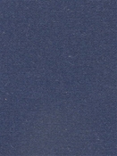 Terrasol Canvas Marine Tempo Fabric 