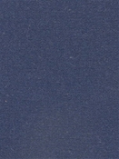 Terrasol Canvas Marine Tempo Fabric 