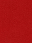 Terrasol Canvas Red Tempo Fabric 