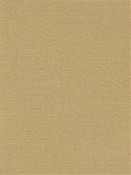 Terrasol Canvas Sand Tempo Fabric 
