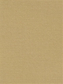 Terrasol Canvas Sand Tempo Fabric 