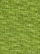 Terrasol OD Living Lime Tempo Fabric 