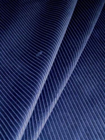 Velroy King Corduroy Velvet | Velvet Fabric