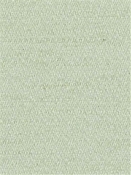 Veneer Celadon SU15950 24 Duralee Fabric 