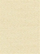 Veneer Chamois SU15950 283 Duralee Fabric 