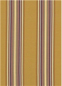 Villa Stripe Chutney