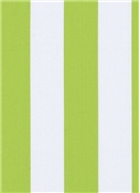 Wave Runner 282 Lime