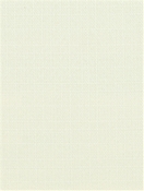 York 143 Optic White