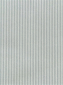 Baldwin Frost P. Kaufmann Ticking Fabric 