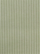 Baldwin Grass P. Kaufmann Ticking Fabric 