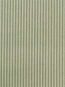 Baldwin Grass P. Kaufmann Ticking Fabric 