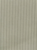 Baldwin Oatmeal P. Kaufmann Ticking Fabric 