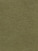 Brodex Camel Swavelle Fabric 