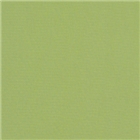 Canvas Ginko 54011-0000 Sunbrella Fabric