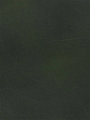 Derma Emerald Perfomance Faux Leather Europatex
