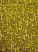 Felicity Mustard Cut Velvet