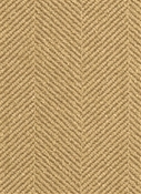 Crypton Jumper Sassafrass