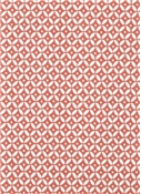 Nomad Mix Crypton Blush