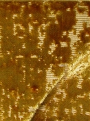 Splendor Gold PK Lifestyles Velvet