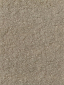 Teddy Cream Europatex Fabric 