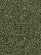 Teddy Grass Europatex Fabric 