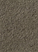 Teddy Steel Europatex Fabric 