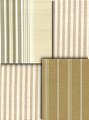 Tan Stripe Fabrics