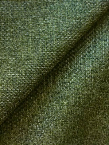 Allegro Spinach Performance Fabric