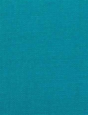 Barry Morrocan Blue - Performance Canvas