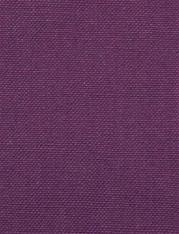 Barry Purple - Performance Canvas