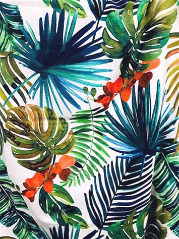 Biscayne Tropical Fabric